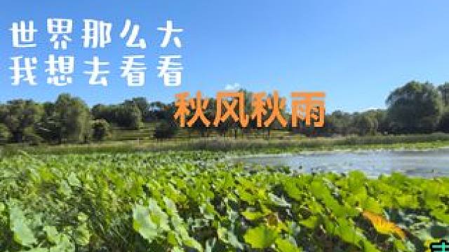 #透过水面看阳光好像梦境 #最治愈的便是这世间的风景