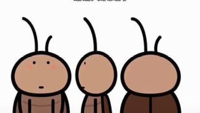 在密室里征个老公#密室逃脱 #征婚 #搞笑 #娱乐别当真