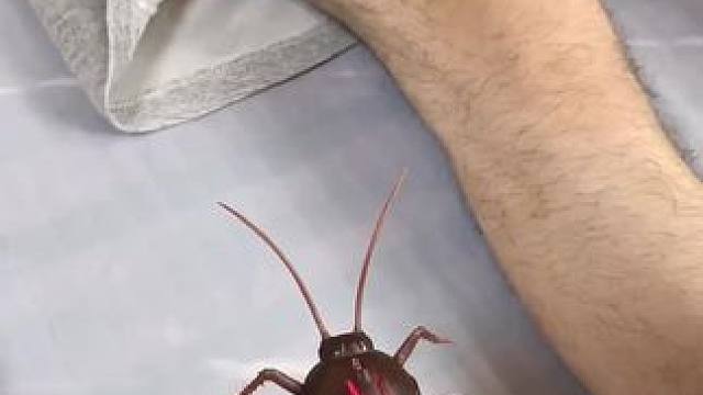 我发布了一个新视频，快来围观吧！