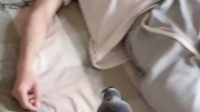 我发布了一个新视频，快来围观吧！