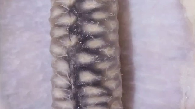 吃得嘴都疼得不想动了  肚子还没感觉  看来只有做成八月瓜奶昔直接喝   变成透明色的特别好吃哦