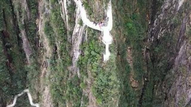 不识莽山真面目，只缘身在此山中！#航拍莽山 #一座不用爬的山 #莽山五指峰景区