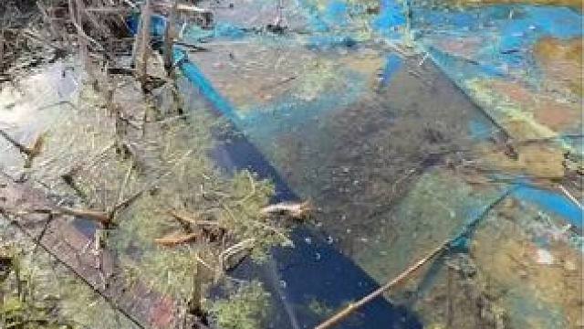 超解压的清洗泳池来了#dou上热门 #专业的事情交给专业人去做 #是时候展现真正的技术了 #解压清洗