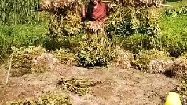 山卡卡里的农村大姐学费了开直播每天收获满满满您还在恐播怕播不敢开播吗#记录真实生活 #农村生活 #抖