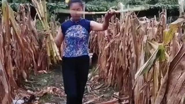 山卡卡里的农村大姐学费了开直播每天收获满满满您还在恐播怕播不敢开播开播了不知道说什么吗#记录真实生活