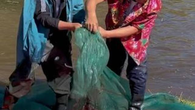 #户外捕鱼 #好多鱼