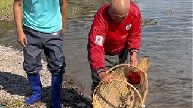 #户外捕鱼 #好多鱼