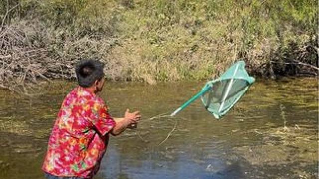 #户外捕鱼 #好大一条鱼