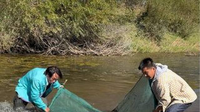 #户外捕鱼 #好多鱼