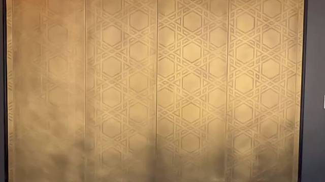 便捷智能 掌控生活#TINNO帝诺系统入户门 #上海 #系统门 #偏轴门 #别墅门