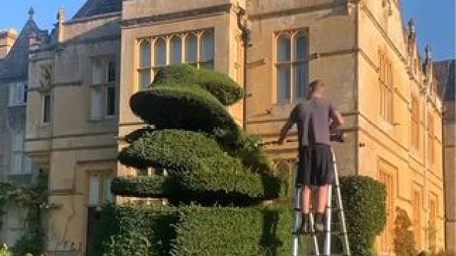 英国庄园豪庭园林修剪。 #解压视频 #极度舒适 #除草视频解压 #强迫症看了很享受 #舒服又解压