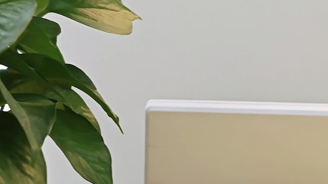 一家让你女朋友着迷的店