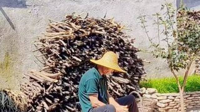 #农村生活 #丰收的季节 #莱芜篇（174）上法山村。山村的小院，是心灵的避风港，每一片叶子都诉说着