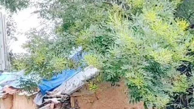 #农村生活#曹范之行（221）乡村味道，是一种让人心醉神迷的韵味，是一种深深烙印