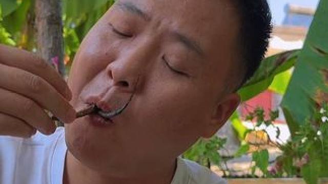 湖北特色盘龙鳝，活鳝鱼下锅炒香，下酒一绝！ #人间烟火 #新农人计划2024 #农村美食