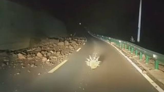 三更半夜上路，不知道这是个什么东东#荒山野岭 #高原上的神奇动物们 #野生动物零距离 #这是什么动物