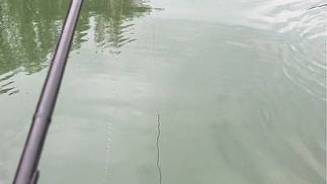 #钓鱼的乐趣只有钓鱼人懂 #国庆假期去钓鱼有多爽