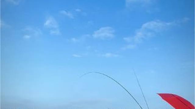 唯有钓鱼解千愁~