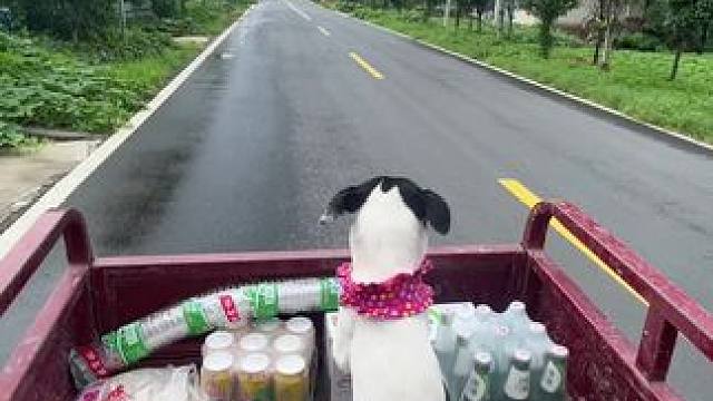 叫我坐那看车
跟着老爸去赶集 #乡愁记忆 #农村赶集  #农村生活