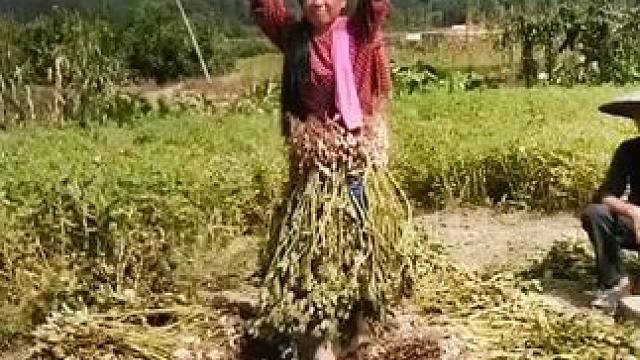 山卡卡里的农村大姐学费了开直播每天收获满满满您还在恐播怕播不敢开播开播了不知说什么吗#记录真实生活 