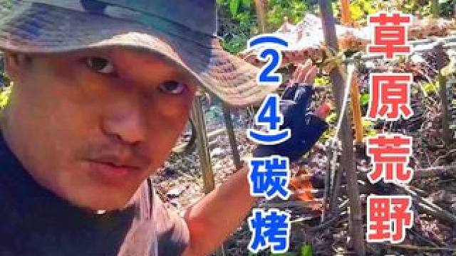 火烧虎头蜂巢，烘架熏烤蜂蛹 云中草原荒野求生（24）碳烤蜂蛹 #野外生存 #荒野求生 #户外美食 #