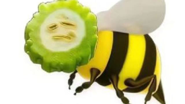 痒痒鼠的这次的抽卡，无人所及#阴阳师#我们一起玩过的阴阳师 #网易#游戏 #抽卡