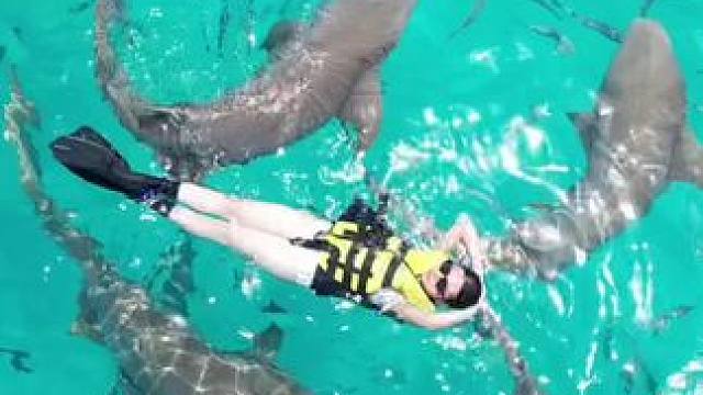 在马尔代夫和鲨鱼贴贴 #海岛度假 #一起看看海底世界 #浮潜