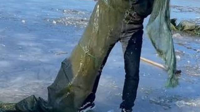 #户外捕鱼 #好多鱼