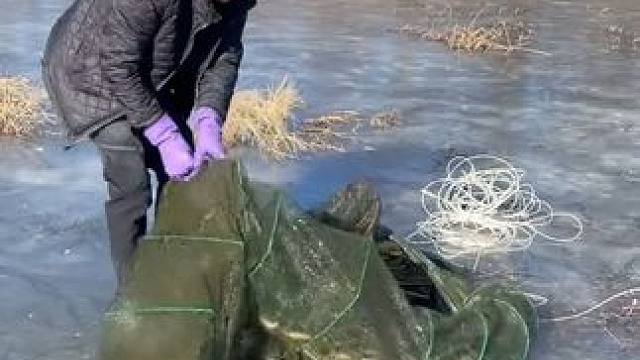 #户外捕鱼 #好多鱼