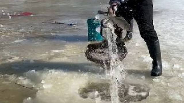 #户外捕鱼 #好多鱼