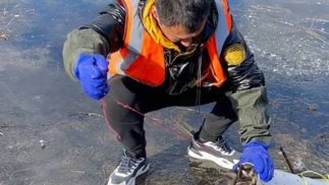 #户外捕鱼 #好多鱼