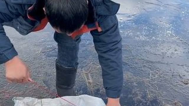 #户外捕鱼 #好多鱼