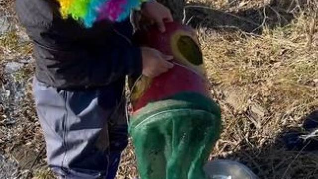 #户外捕鱼 #好多鱼