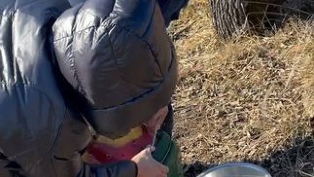 #户外捕鱼 #好多鱼