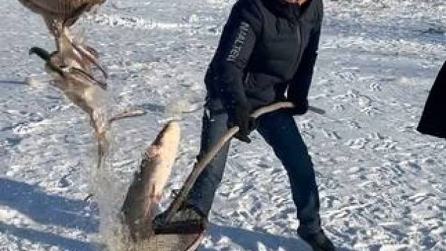 #户外捕鱼 #好多鱼