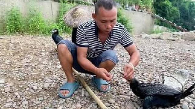 #这里是广西桂林 #漓江渔翁 #秋冬游广西正是好时节 #旅行推荐官