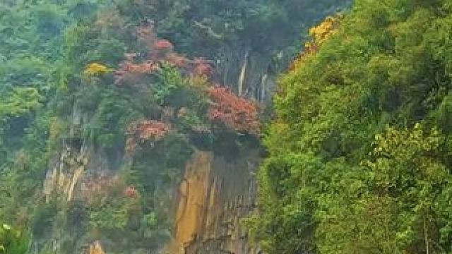 国道209（苏北线）湖北十堰市房县段沿途景色 #最美的风景在路上 #旅行推荐官 #神农架