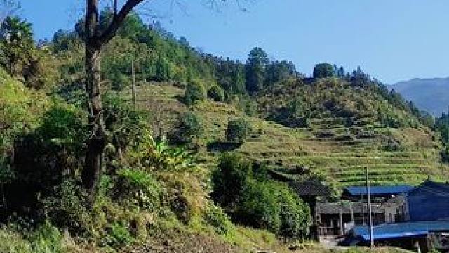 在这山咔咔里，对于一些人来说，没有手机信号的环境可能是一种难得的放松和与自然更加亲近的机会。
然而，