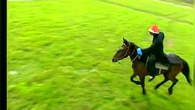 下载《西瓜视频》，免费观看精彩后续/精彩海量免费短剧免费看......下载《西瓜视频》，免费观看精