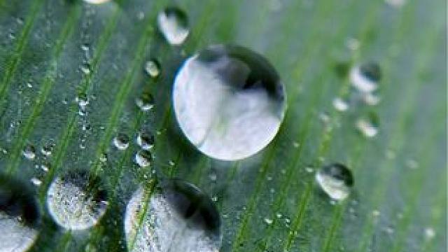 路边看到随处可见的水珠，这样拍也太美了吧，#手机摄影 #微距摄影  #微距镜头 #微距