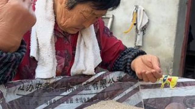 开始农忙了，豆子芝麻都管割了 #农村生活日常