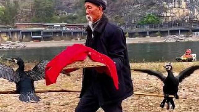 #就想在桂林看山山水水 #秋冬游广西正是好时节 #旅行推荐官