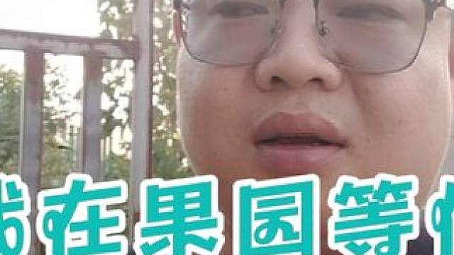 为满足粉丝朋友们的要求，小尚不远千里回老家，先带大家欣赏果园 为满足粉丝朋友们的要求，小尚不远千里从