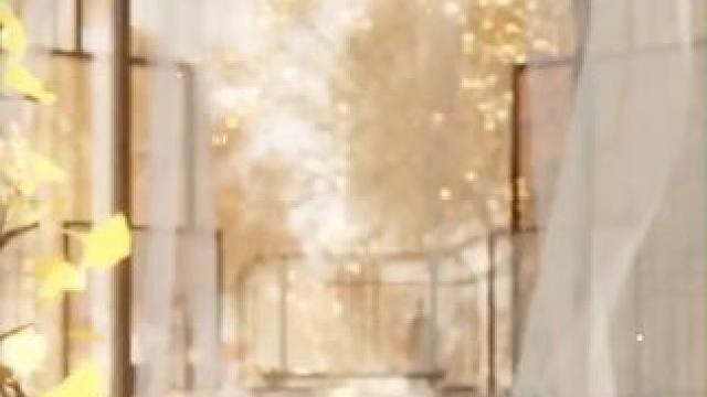 你是前世未止的心跳......#如鸢 #三国志如鸢 #女性向 #广陵王 #天师银杏