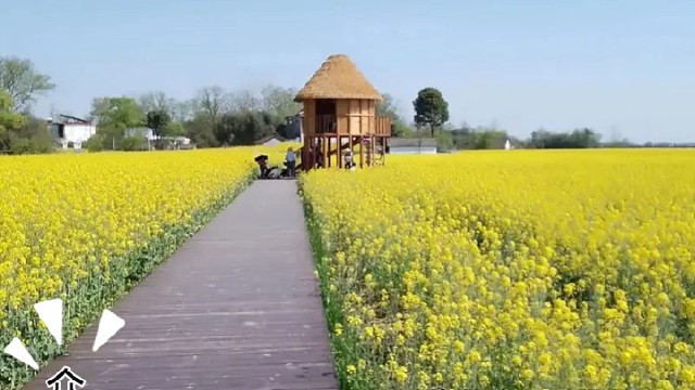 农村故事、平凡人的生活