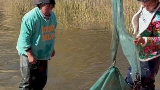 #户外捕鱼 #好多鱼