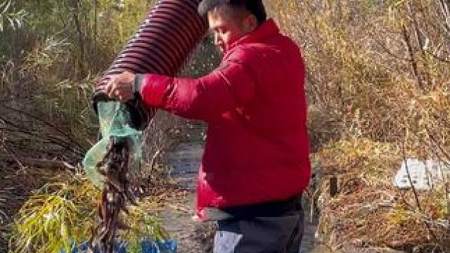 #户外捕鱼 #好多鱼