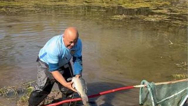 #户外捕鱼 #好大一条鱼