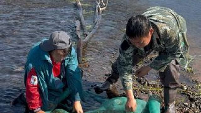 #户外捕鱼 #好多鱼