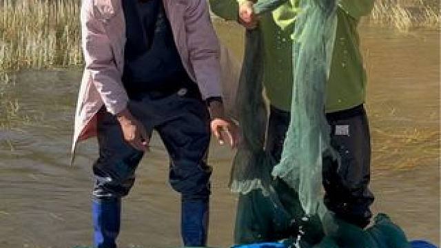 #户外捕鱼 #好多鱼